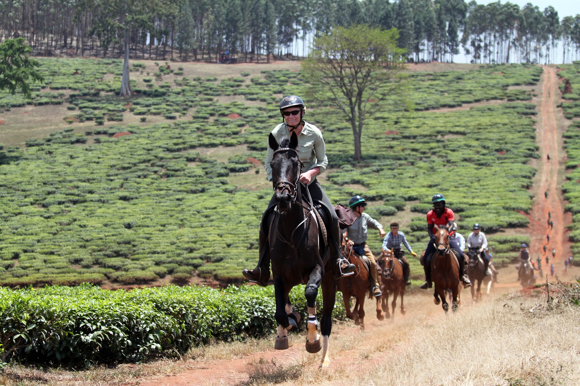 Horse Riding 7-min